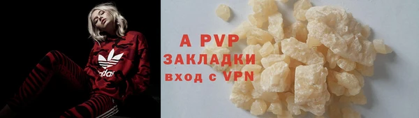 ECSTASY Осинники